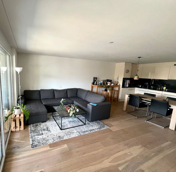 Wohnzimmer und Küche/Lounge and Kitchen