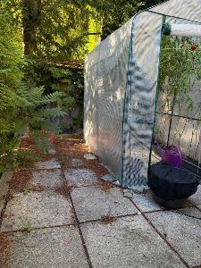 Privater Sitzplatz, Gewächshaus ist bei Einzug weg