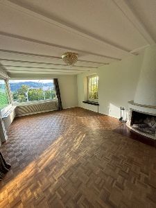 Wohnzimmer mit Kamin:)