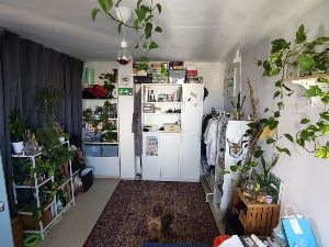 Your room 2 (dog not included :(