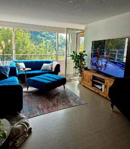 Common living room with TV, PS5 and balcony