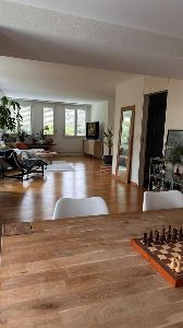 Blick ins offene Wohnzimmer