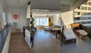 Küche, Wohnzimmer und Balkon