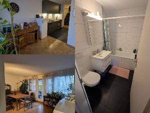 Livingroom and Bathroom