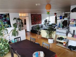 Die Wohnung hat einen grosszügigen Wohnbereich
