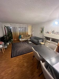 the living room